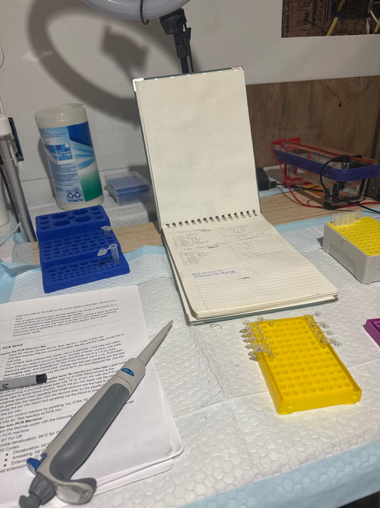 48 Blood Test