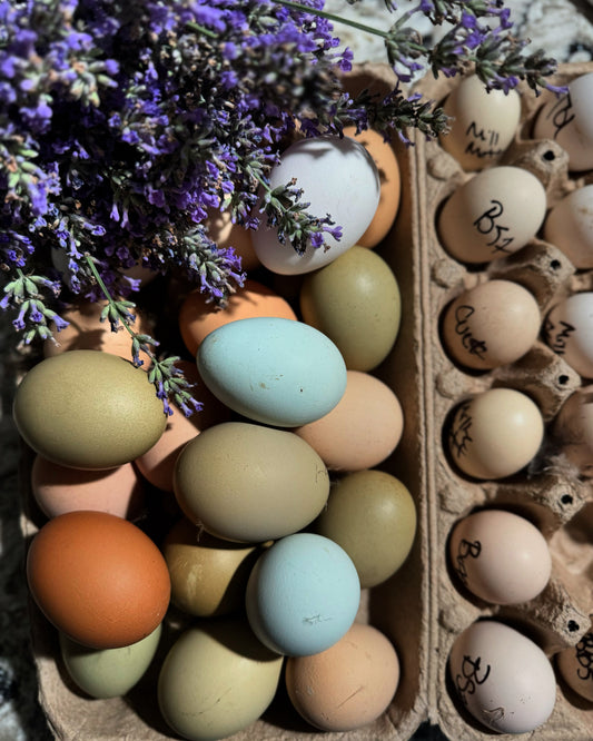 Blue Egg Gene via Blood