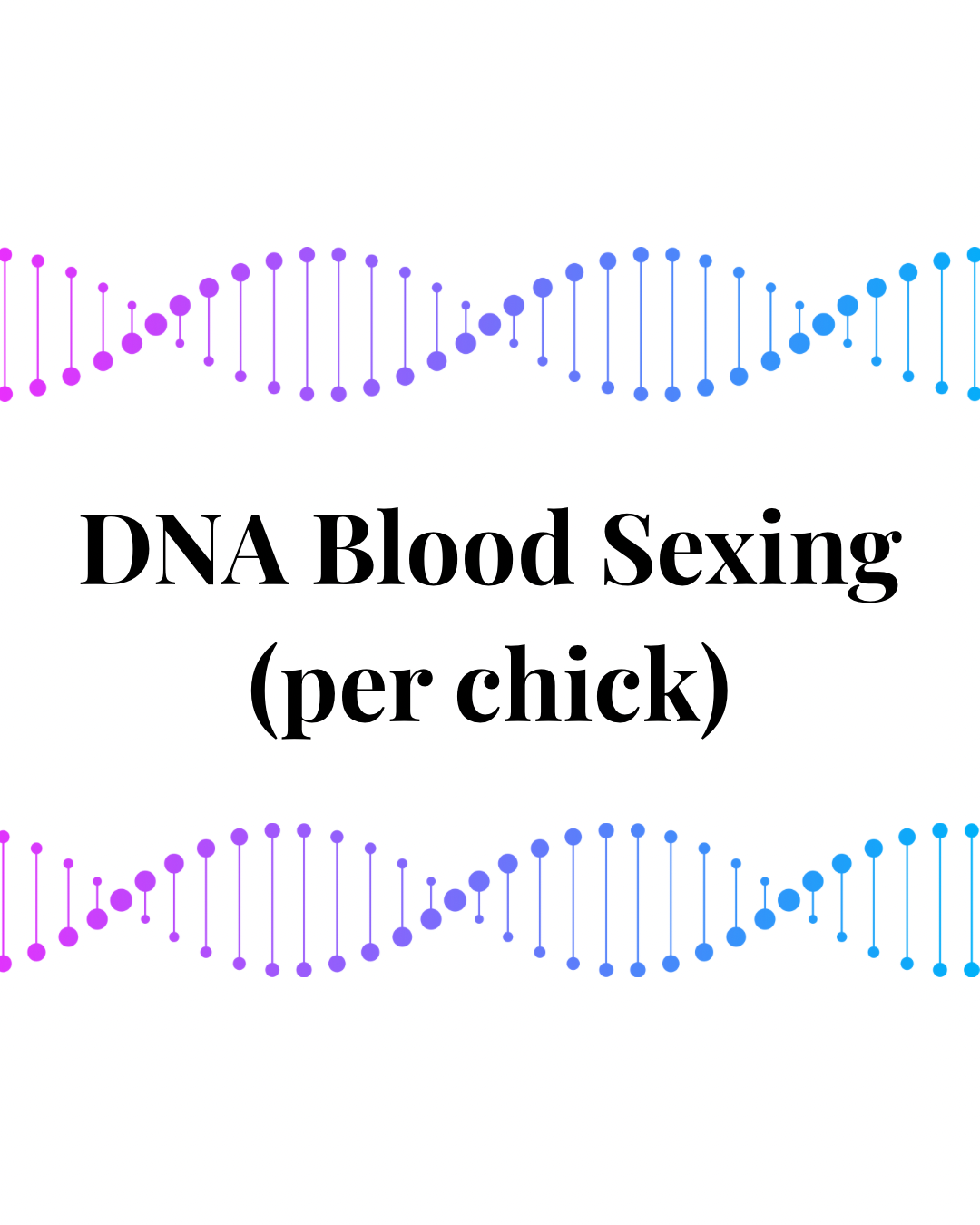DNA blood sexing (poultry) (per chick)