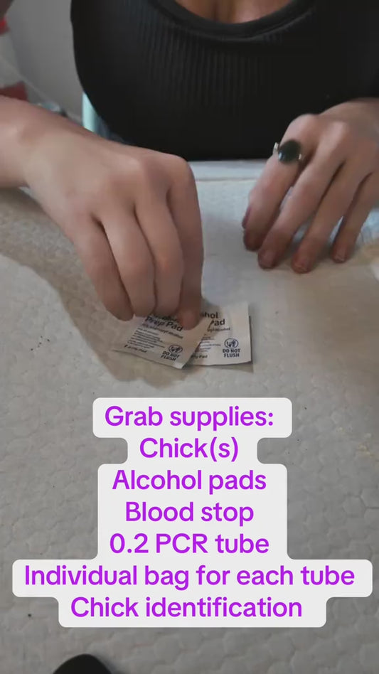 Blood Collection Kit