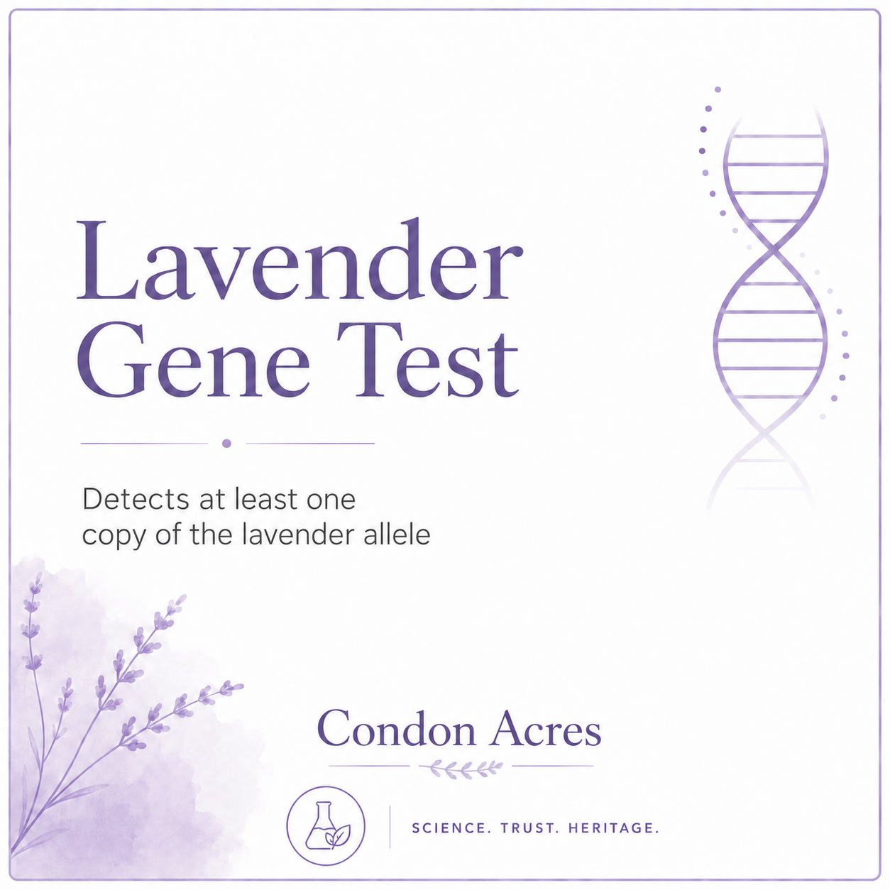 Lavender Testing